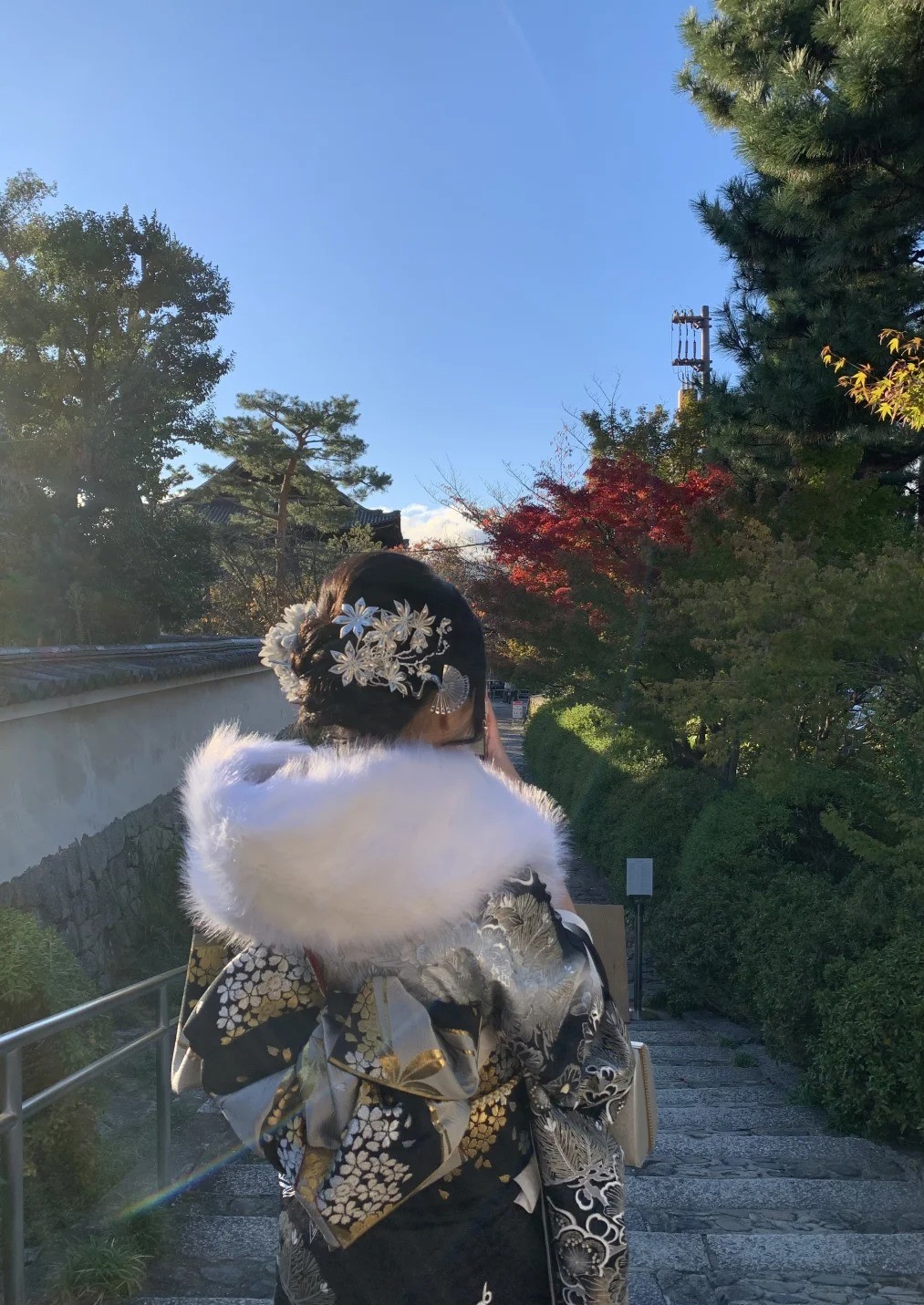密玫瑰TG