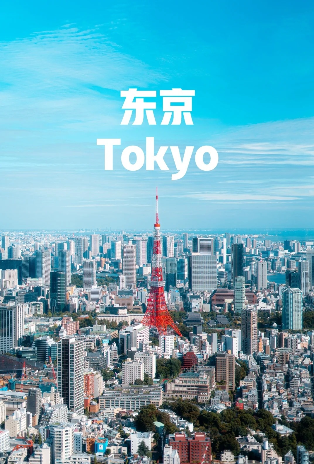玫瑰❤東京高檔小姐外派資訊